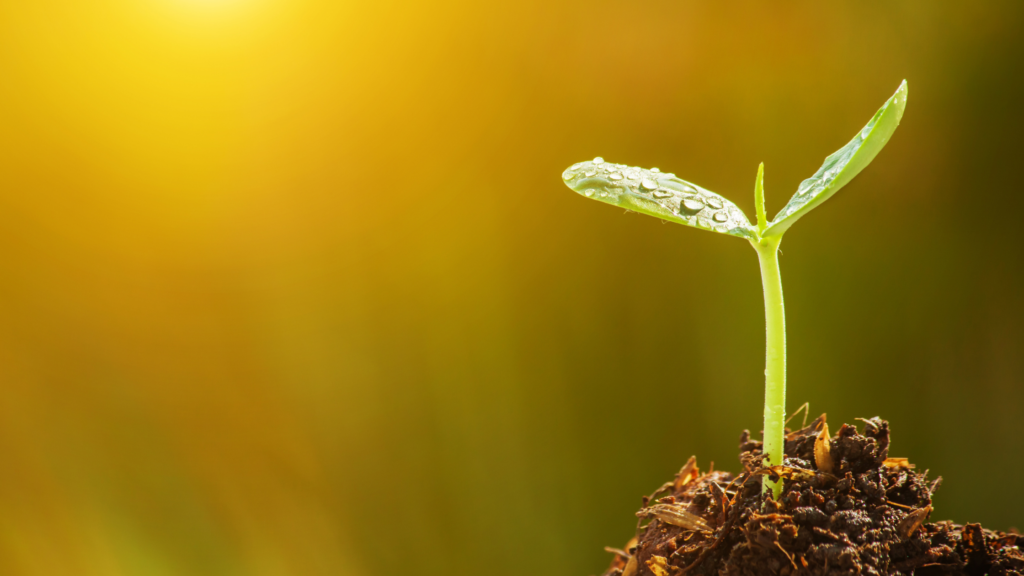 Grow to your full potential